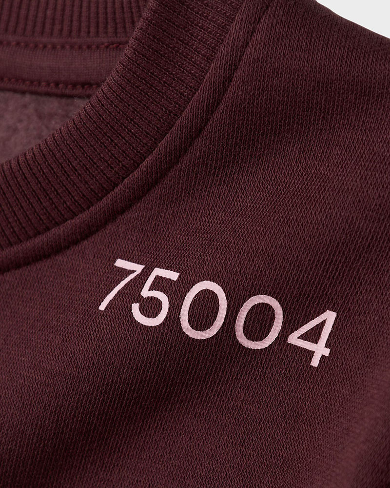 NAME IT NKFODIKA LS RLX SWEAT BRU BF - 13247274