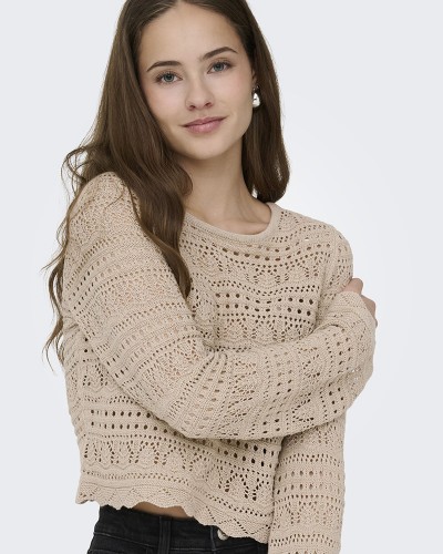 ONLY ONLELKE LIFE LS PULLOVER KNT NOOS - 15363049