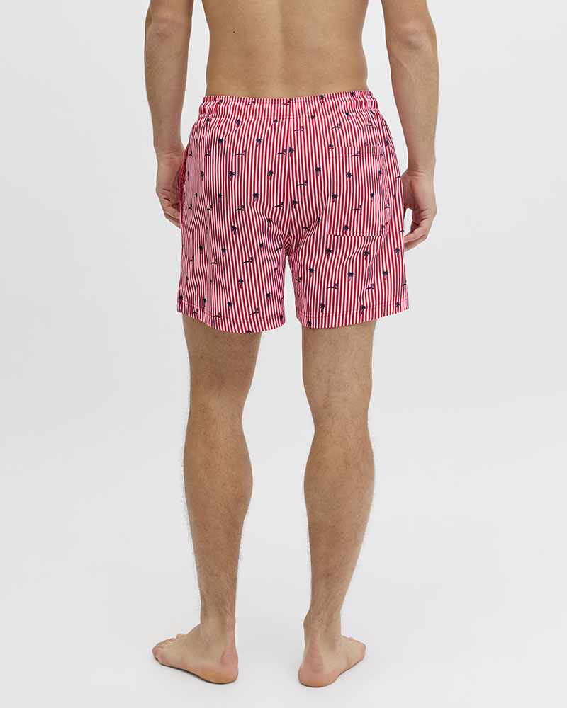 JACK & JONES JPSTMAUI BREEZE MINI STRIPE SWIM SRT SN - 12291425