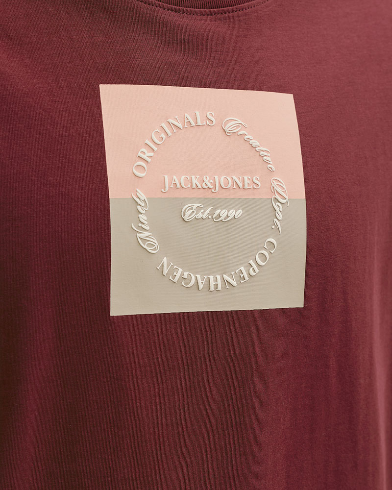 JACK & JONES JORCATSKILLS SQUARE BRANDING TEE SSCN LN - 12290856