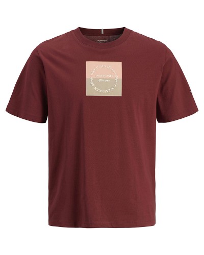 JACK & JONES JORCATSKILLS SQUARE BRANDING TEE SSCN LN - 12290856