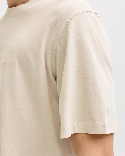 JACK & JONES JPRBLUAIDEN SS TEE - 12293014