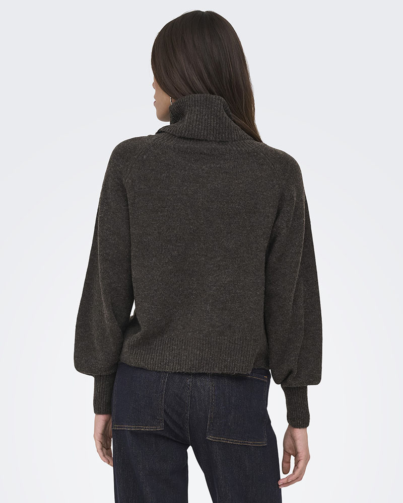ONLY ONLOLIVIA LS ROLL NECK CC KNT - 15381063