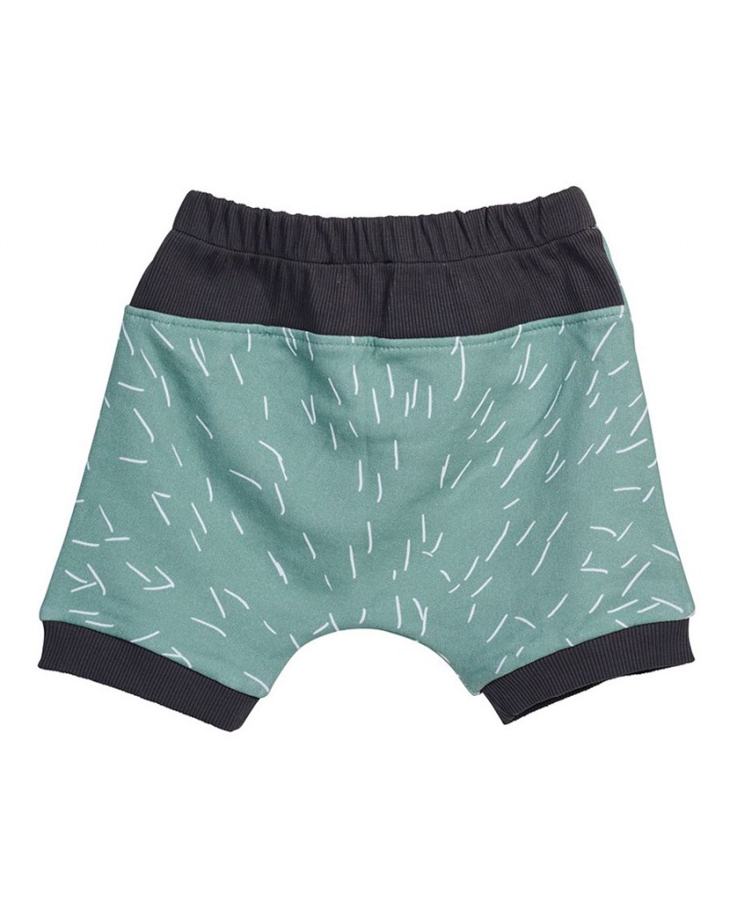 COOCOOTALES The little Hedgehog shorts - SS22-LH