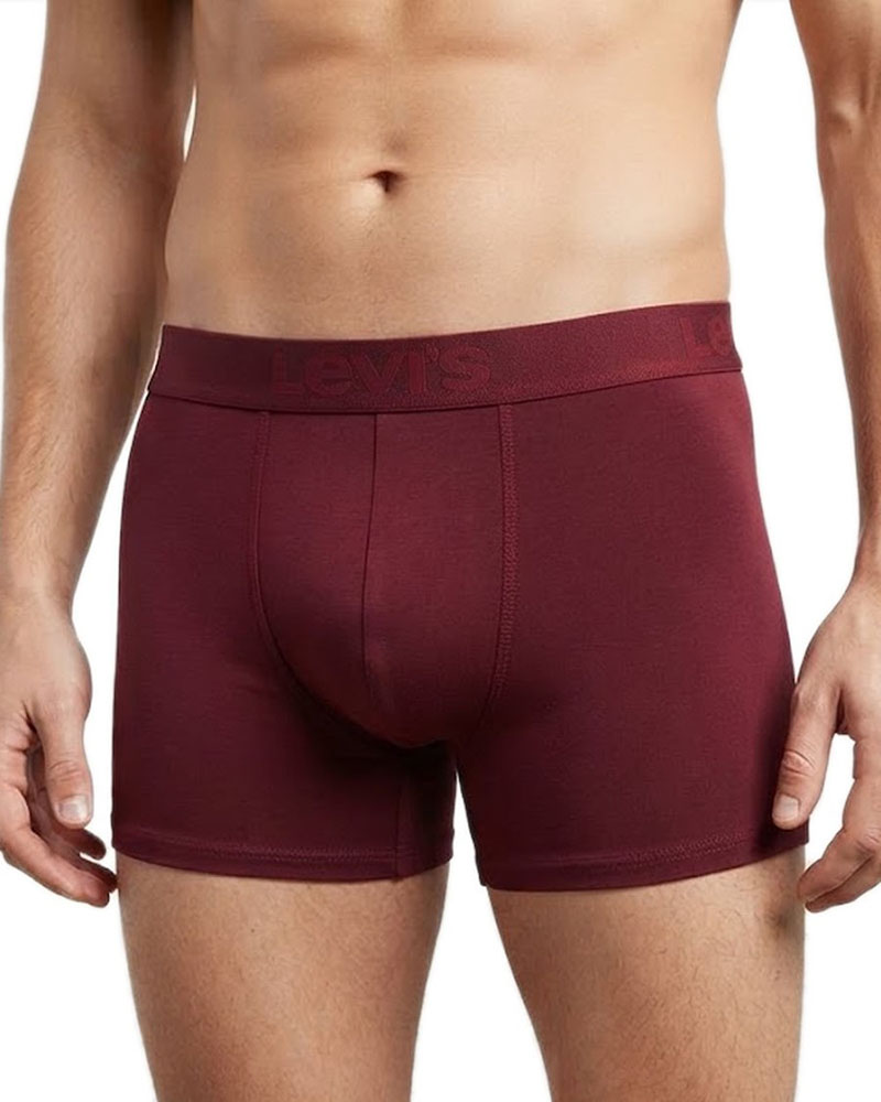 LEVIS LEVIS MEN TWILL WB BOXER BRIEF - 701238010